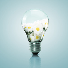 Electric light bulb and flower inside it