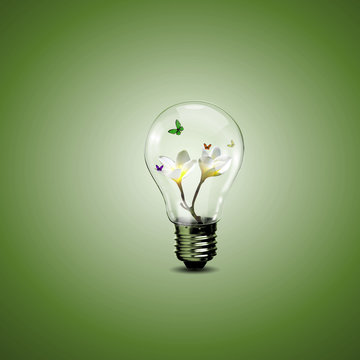 Electric light bulb and a plant inside it