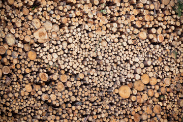 Pile of wood