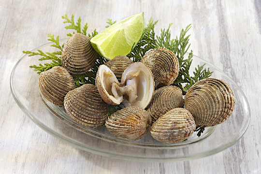 Praires - Fruits de mer