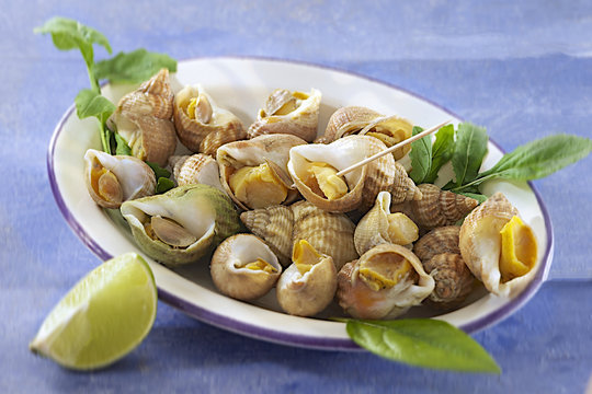 Bulots ou Escargots de mer