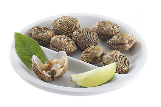 Praires - Fruits de mer