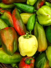 a lot of sweet bulgarian ripe peppers