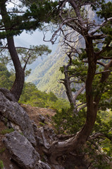 Fototapeta na wymiar Ścieżka thru wąwóz Samaria, centralna część wyspy Kreta