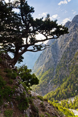 On the top of Samaria gorge, central part of Crete island