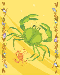 Crabs in a decorative illustration