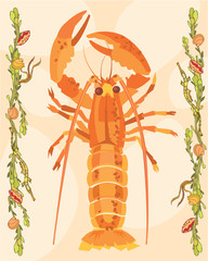 Lobster in a decorative illustration