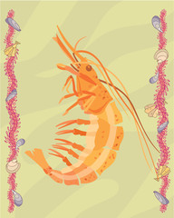 Shrimp in a decorative illustration