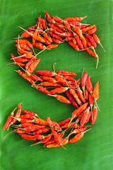 Chili alphabet - letter S