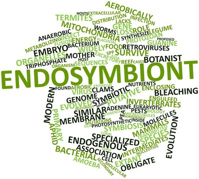 Word cloud for Endosymbiont