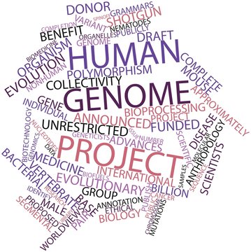 Word cloud for Human Genome Project