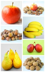 composition de fruits frais et secs