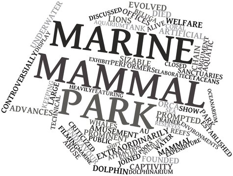 Word cloud for Marine mammal park