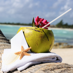 Caribbean paradise beach coconuts cocktail