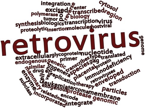 Word cloud for Retrovirus