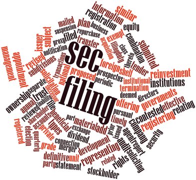 Word cloud for SEC filing