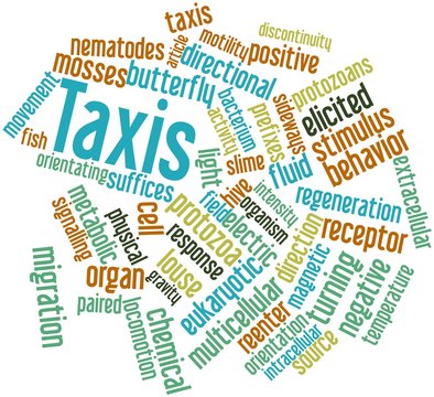 Word cloud for Taxis