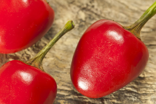 frische Kirsch-Chilies