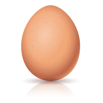 Realistic egg