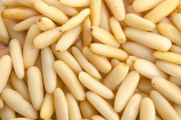 Pinienkern-Hintergrund