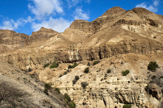 landscape in the Judean Hills