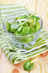 Obraz premium spinach