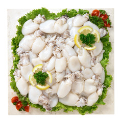 Seppie piccole - Small cuttlefish