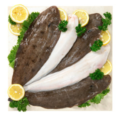 Sogliole - Fish, sole