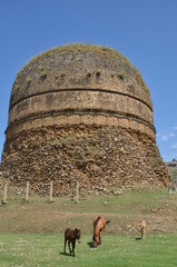 Buddhist stupa with horses grazing in foreground