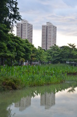 Fototapeta na wymiar Dwa wysokie budynki w Singapurze, jak wynika z miejscowym parku.
