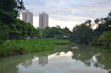 Fototapeta na wymiar Dwa wysokie budynki w Singapurze, jak wynika z miejscowym parku.