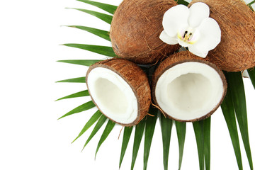 Fototapeta na wymiar Orzechy kokosowe z liści i kwiatów, samodzielnie na białym tle
