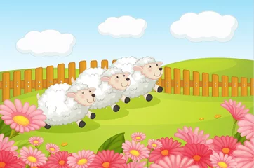 Poster de jardin Ferme Des moutons