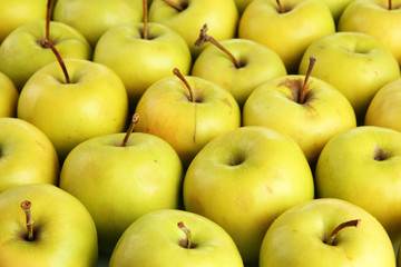 juicy apples, close up