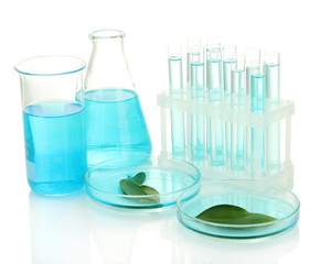 test-tubes and leaves tested in petri dishes  isolated on white