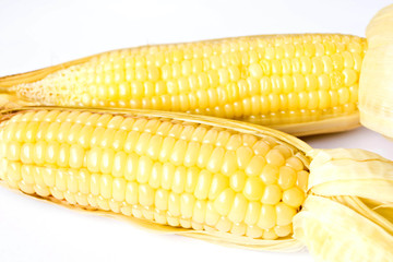 Corn on white background