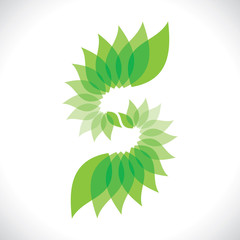 Fototapeta na wymiar green leaf s shape