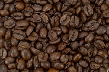 Kaffeebohnen