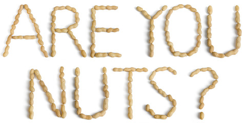 Sentence Written Using Letters Made of Peanuts