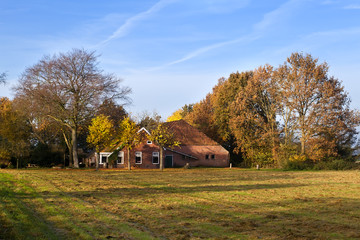 typical Dutch farm in autumn