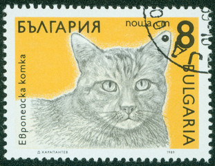 stamp printed in BULGARIA shows a European cat