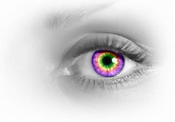 Human eye on grey background