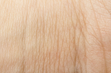 Human skin