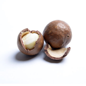 Macadamian&uuml;sse
