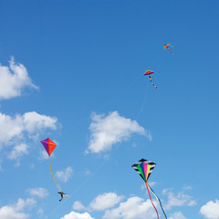 Kites Flying Together