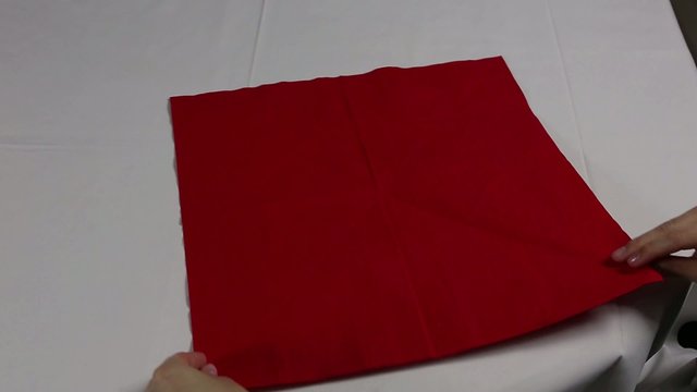 Serviette brechen Lilie oder Tulpe