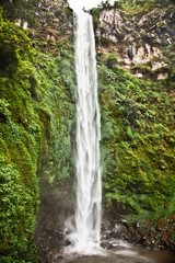 Fototapeta na wymiar Madakaripura Waterfall East Java, Indonezja