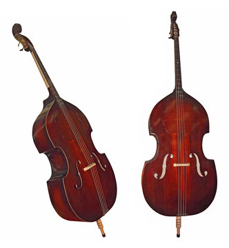 Double bass instrument isolated on white background