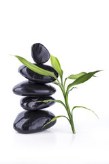 Fototapeta premium Galets Noir et Bambou