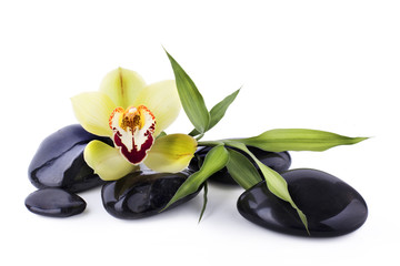 Fototapeta na wymiar Black Orchid i kamyki